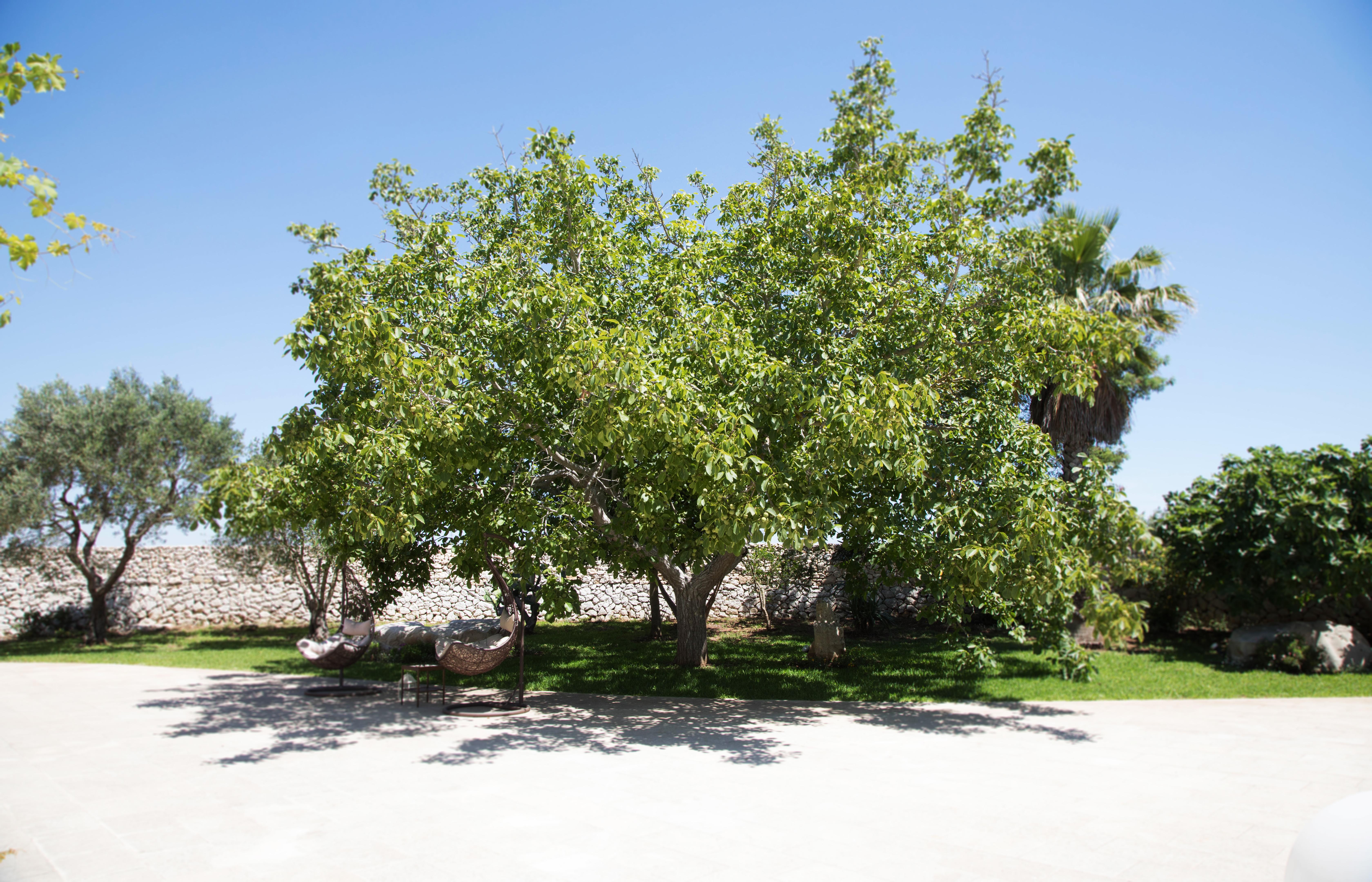Don Agostino Relais Masseria Martano Exteriör bild